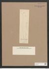 Pleurosigma tenuirostre Grun. (de-Toni-Nr.: Genus 13, Species 1061) Zeichnungen Sammlung Grunow Nr. 1909 (NHMW-BOT-W0369032)